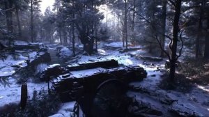 Hogwarts Relaxing Walk Through Forbidden Forest - Calm Harry Potter Ambient Mix