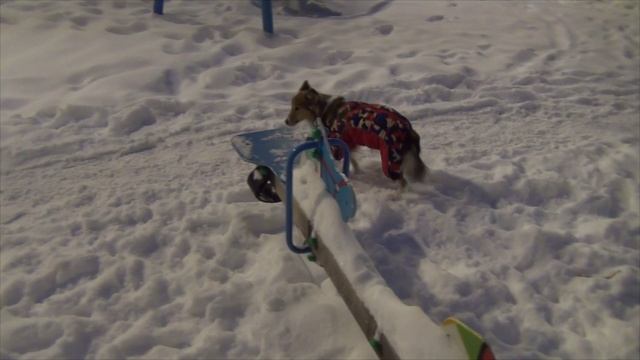 2024 Лета во дворе по свежему снегу 15.01.24