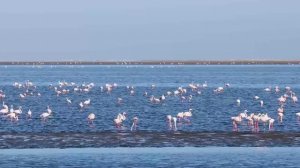 МУЗЫКА ДЛЯ ГЛУБОКОГО РАССЛАБЛЕНИЯ