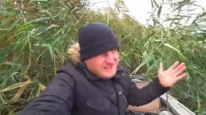 ПОЛНАЯ ЛОДКА ОГРОМНЫХ КАРАСЕЙ! ВОТ ЭТО РЫБАЛКА!