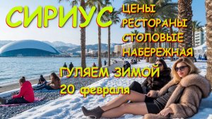 Сириус погода, Сочи погода, Сириус Сочи, Сочи сегодня, Адлер погода, Где отдохнуть, отели Сочи