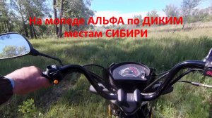 На мопеде АЛЬФА по диким местам СИБИРИ