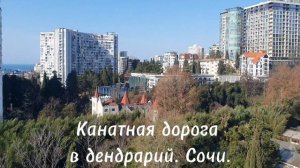 В парке Дендрарий в Сочи есть подвесная канатная дорога. Она соединяет верхнюю и нижнюю части парка.