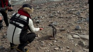 АНТАРКТИКА - 2026 г