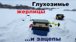 ЖЕРЛИЦЫ,  ГЛУХОЗИМЬЕ и ЗАЦЕПЫ СНАСТЕЙ !!! Зимняя рыбалка на Запретном пруду! Михалыч!