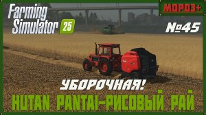 🟢Farming Simulator 25🟢. Карта  Hutan Pantai-Рисовый рай,  №45 Уборочная !
