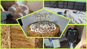 23.02.2026 // Готовлю торт Саше на ДР //  Рассада перцев