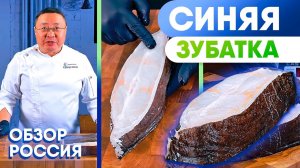 Синяя зубатка: особенности рыбы, текстура мяса и правильная технология приготовления северной рыбы