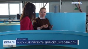 Анна Гнеуш: сельское хозяйство ― динамично развивающаяся сфера экономики