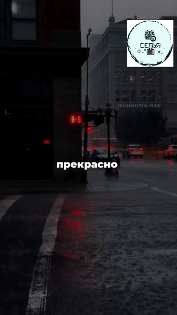 ЗАВЕДИТЕ СЕБЕ ИДИОТСКУЮ ПРИВЫЧКУ смотреть онлайн