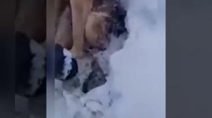 Видео от МЭН - Мне Это Нравится