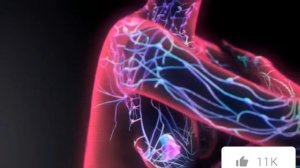 Иммунная система