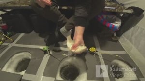 ЛЕСКА ЗВЕНИТ от таких КАРАСЕЙ.Ловля карася зимой