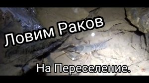 Едем на учебный водоем, чтоб поймать Раков для переселения в другой пруд