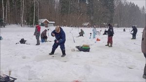 Продолжение поимок на спорт зоне. Клёвое место лосиный остров.