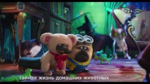 тайная жизнь домашних животных