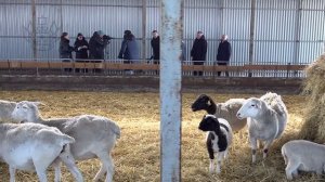 Посетил КФХ Ищенко