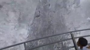 Клип /лагерь мелового периуда /как бы не била жизнь