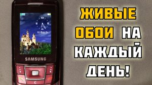 Показываю МИРОВЫЕ темы на SAMSUNG SGH-D900i
