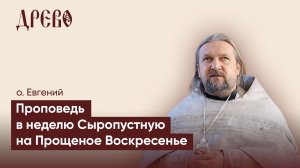 Неделя Сыропустная и Прощеное Воскресенье Iо. Евгений Гуреев I ДРЕВО
