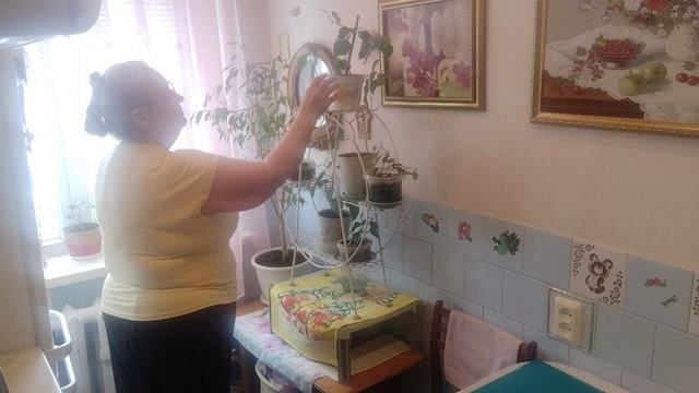 Пельмени в заливке.