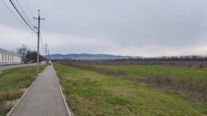 Виноградное поле в Анапе #анапа2026