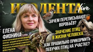 Зачем переписывают воробьёв?| Значение птиц в жизни человека| Как правильно прикормить певучих птиц?