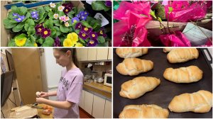 21 февраля. СВЕТОФОР. Завезли цветы, розы и семена. ПЕРВЫЙ РАЗ ИСПОЛЬЗУЕМ ДУХОВКУ