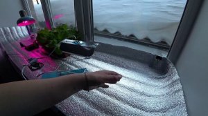 Подсветка для рассады