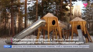 Обустройство зон отдыха в лесных массивах обсудили депутаты Тюменской городской думы
