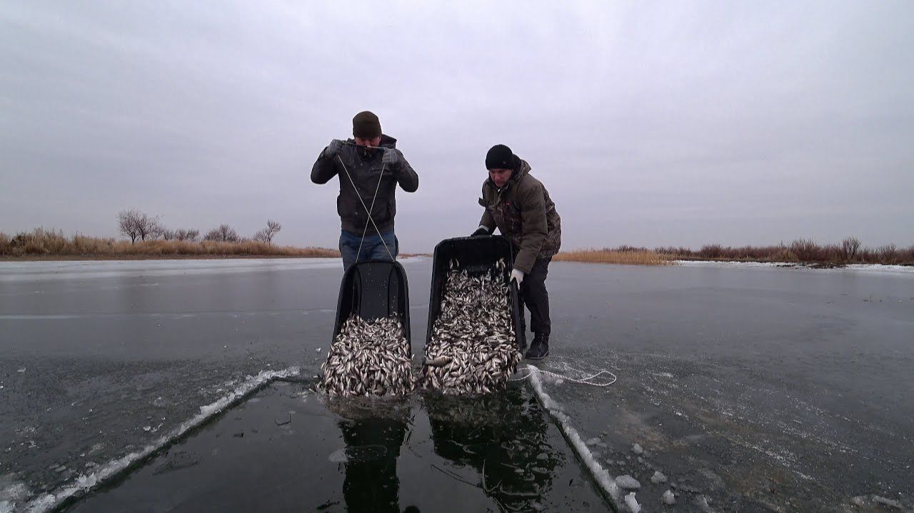 Куча рыбы, поймал всего малька. Богатый улов на консервы. Русская Рыбалка Онлайн 2026