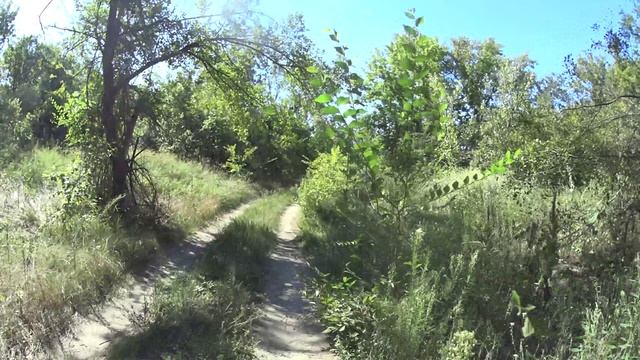 №226. Вело-этап: из Апаринки в Усть-Донецкий, 9 августа.