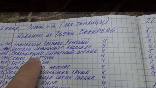 ПОСЕВЫ 2026-30. Какие новинки томатов Софии Сааковой я посеяла в этом году? Как выбирала смотреть онлайн