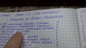 ПОСЕВЫ 2026-30. Какие новинки томатов Софии Сааковой я посеяла в этом году? Как выбирала