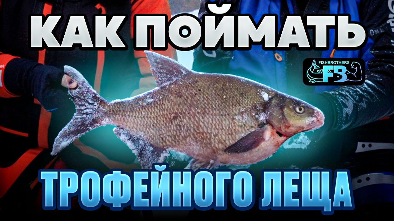 Как поймать ТРОФЕЙНОГО Леща? смотреть онлайн