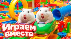 ХОМЯК ВЫБИРАЕТСЯ ИЗ СЕКРЕТНОЙ ХОМЯЧЕЙ ТЮРЬМЫ 🐹🧱 Помогаем выбраться из лабиринта !