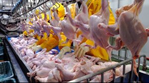 на корейском заводе