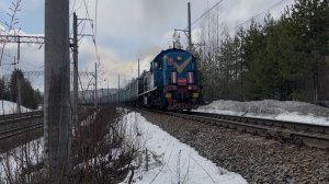 «Гудящий!» Тепловоз ТЭМ2А-5540 с маневровым составом, 2025 год