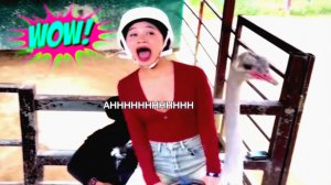 "СМЕШНЫЕ ВИДЕО: ПРИКОЛЫ, КОТОРЫЕ СДЕЛАЮТ ВАШ ДЕНЬ"