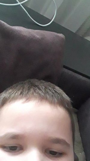 играю в мир дэнди канал лайфи