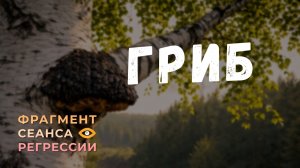 Регрессии. Открытия. Возможности. Результаты. "Гриб"