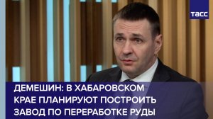 Демешин: в Хабаровском крае планируют построить завод по переработке руды