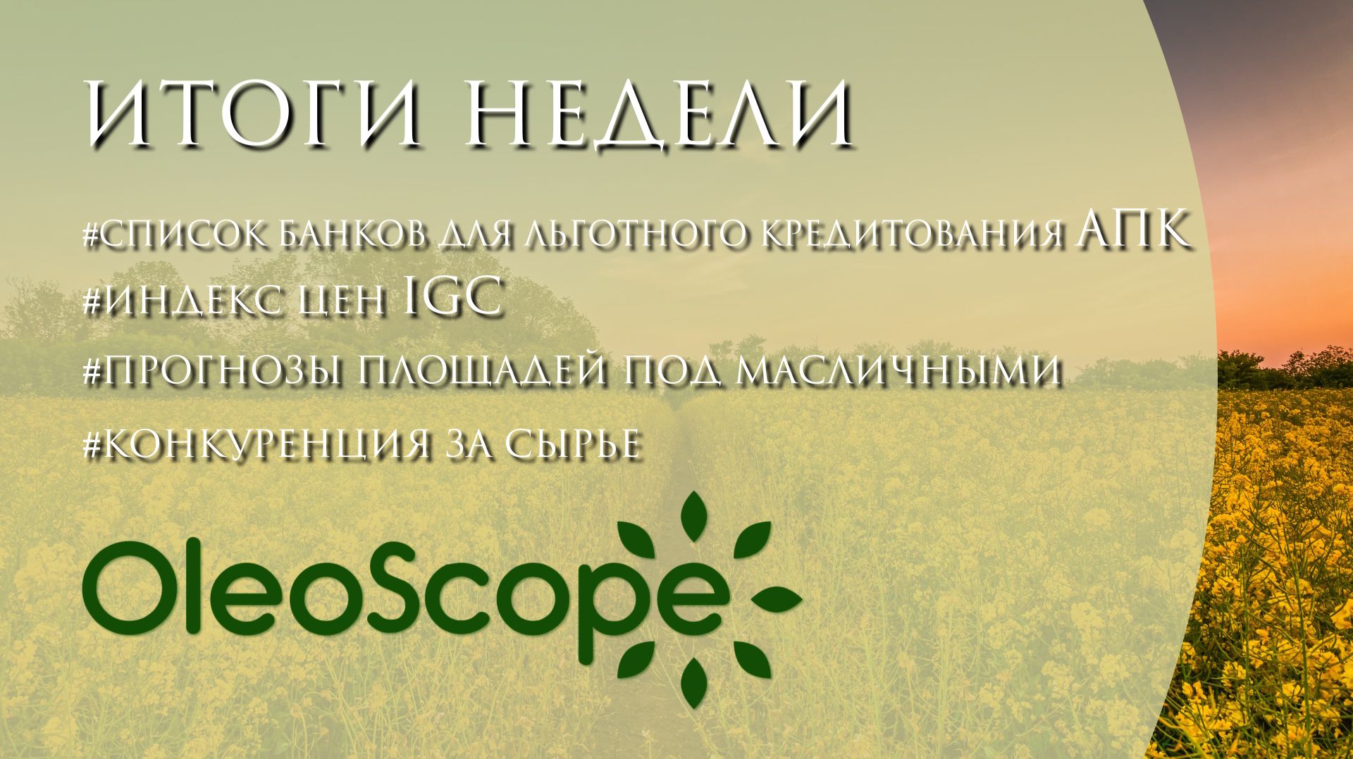 Список банков для кредитования АПК, индекс цен IGC, прогнозы площадей и рост конкуренции за сырьё смотреть онлайн