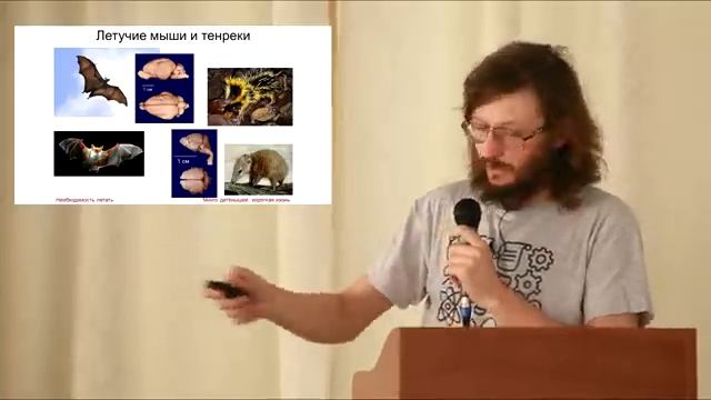 Дробышевский. Неизбежен ли разум? смотреть онлайн