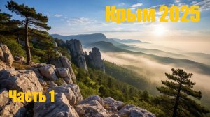 Крым 2025! Сколько стоит семейное путешествие на автомобиле?