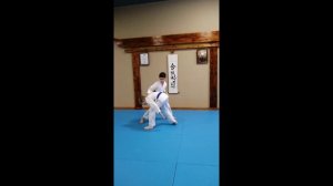 Отработка приема Айкидо в детской секции: Сото Кайтэн Наге