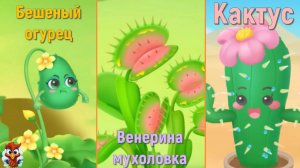 Игра "BabyBus. Огурцы, мухоловка, кактус" Детская познавательная игра.