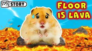 Эпическое приключение хомяка в вулкане — пол из лавы #2 🔥 Хомяк Хомура