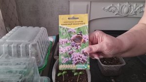 Посев Вербены бонарской и перца!🌺Отличная подкормка для рассады своими руками./21.02.26/