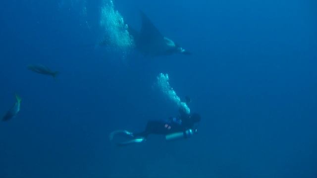 Mexico Santana Smash